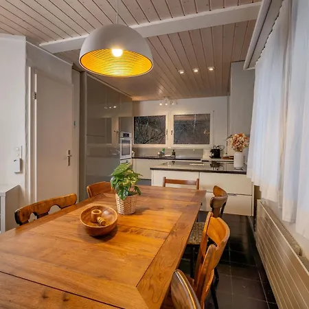 2 With And Mountain View 15 Minutes To Interlaken 别墅 施皮茨