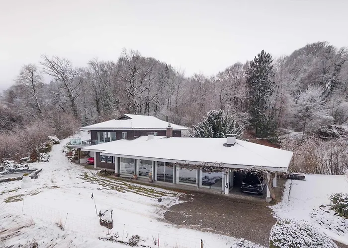 2 With And Mountain View 15 Minutes To Interlaken Spiez