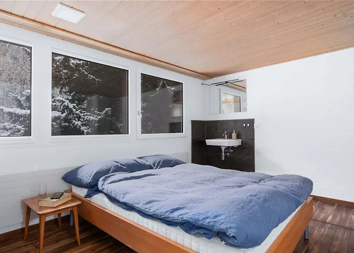 2 With And Mountain View 15 Minutes To Interlaken *