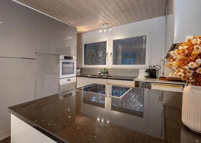 2 With And Mountain View 15 Minutes To Interlaken Villa *